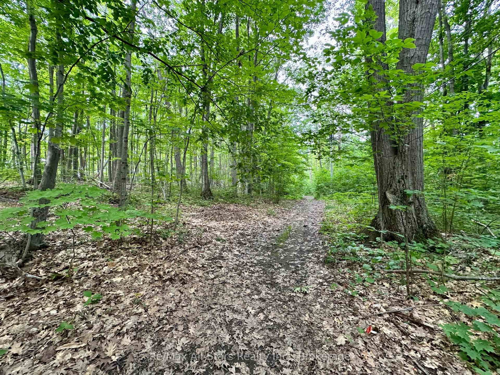 38 Dewey's Island • Kawartha Lakes, ON photo 32