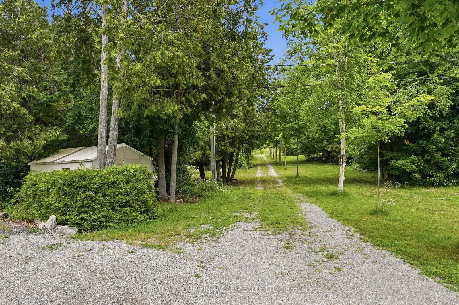 58 Fire Route 98 Route • Trent Lakes, ON photo 39