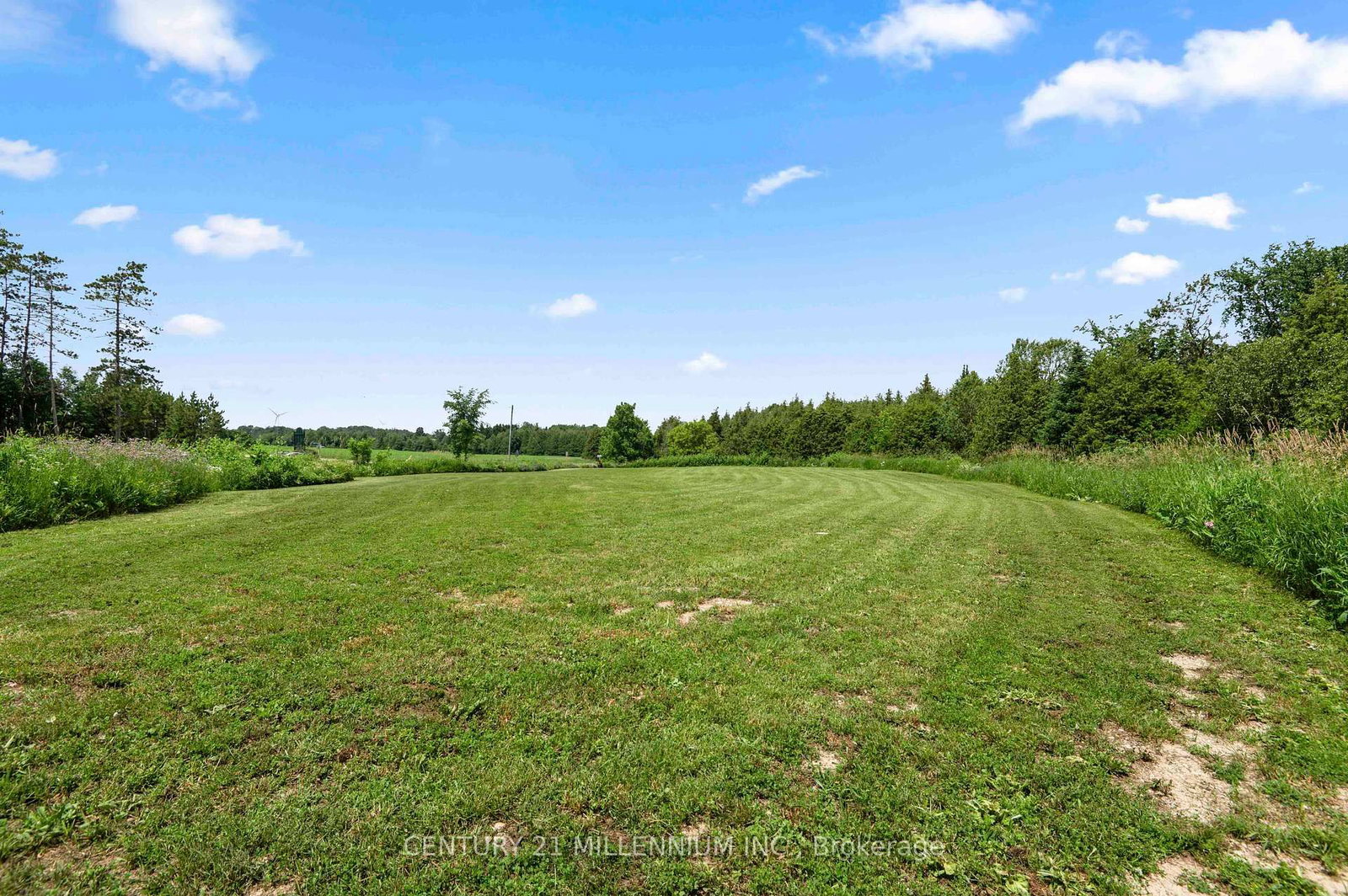 173413 County Road 25 Road • East Luther Grand Valley, ON photo 5