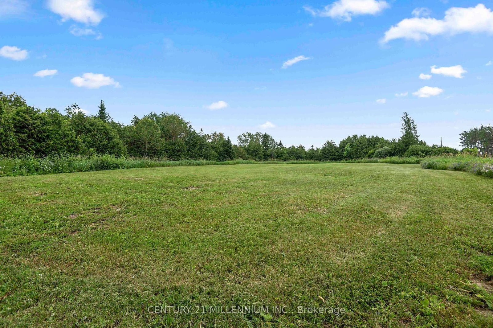 173413 County Road 25 Road • East Luther Grand Valley, ON photo 7