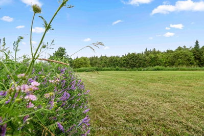 173413 County Road 25 Road • East Luther Grand Valley, ON photo 8