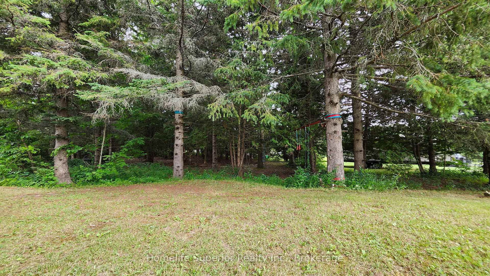 32 Wildrose Circle • Trent Hills, ON photo 37