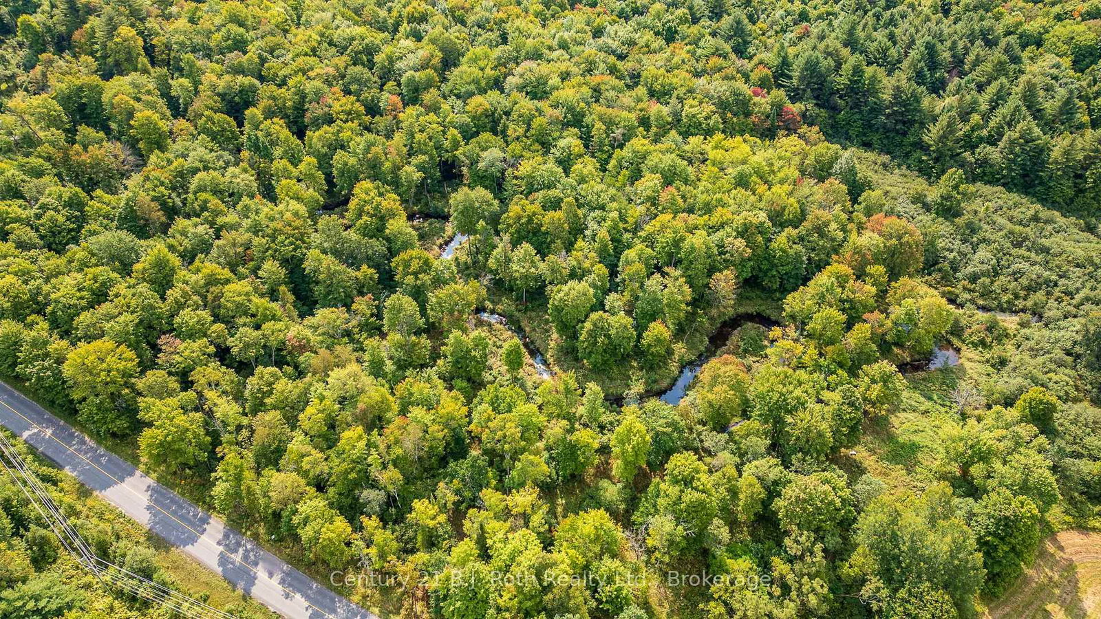 1233 BEIERS RD • Gravenhurst, ON photo 2