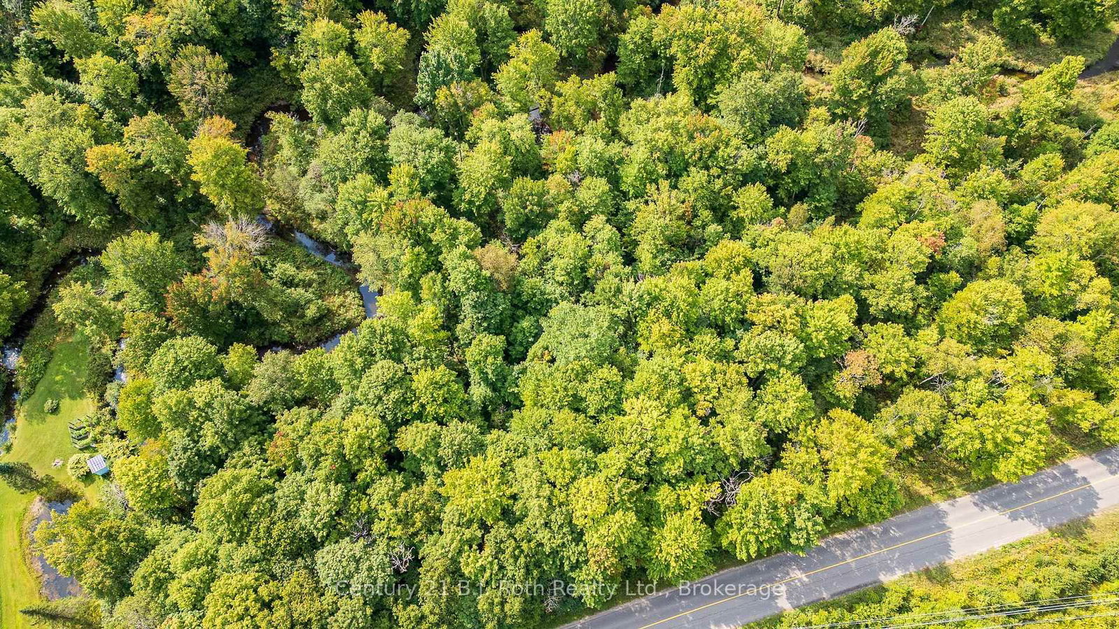 1233 BEIERS RD • Gravenhurst, ON photo 4