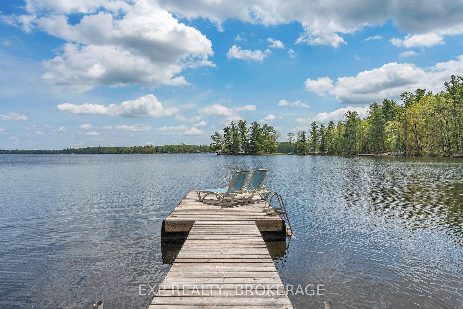 3 Acorn Lane • Tichborne, ON photo 1
