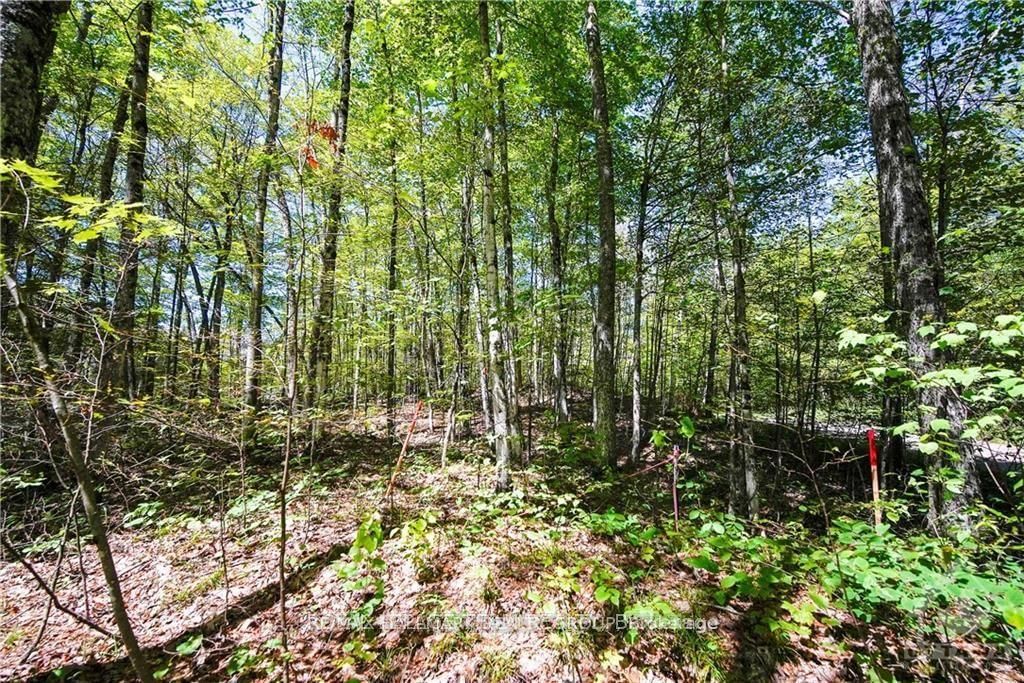 Lot #20 CRESTVIEW Drive • Calabogie, ON photo 4