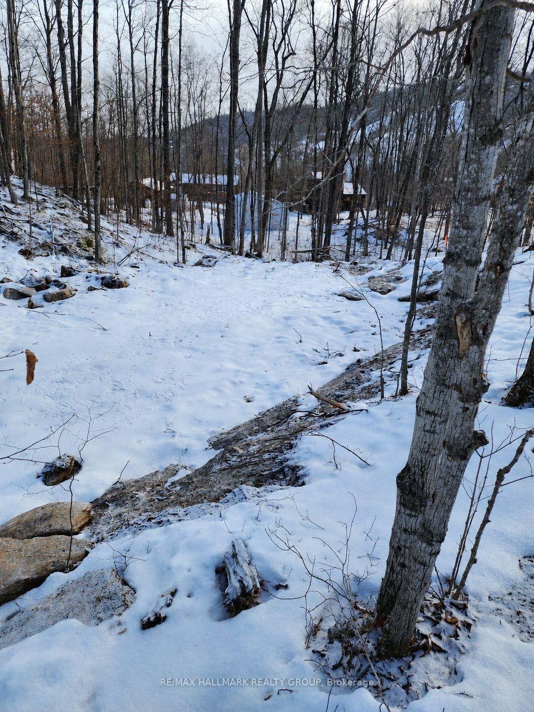 Lot #20 CRESTVIEW Drive • Calabogie, ON photo 8