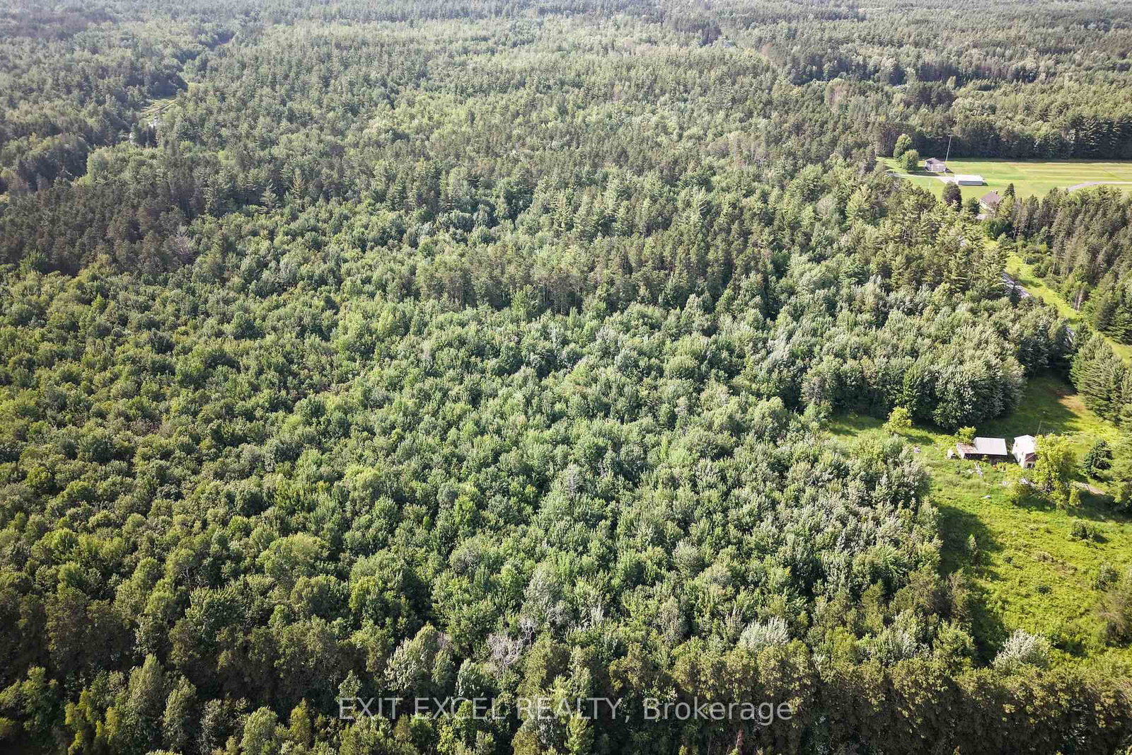 4822 Champlain Street • Clarence-Rockland, ON photo 14