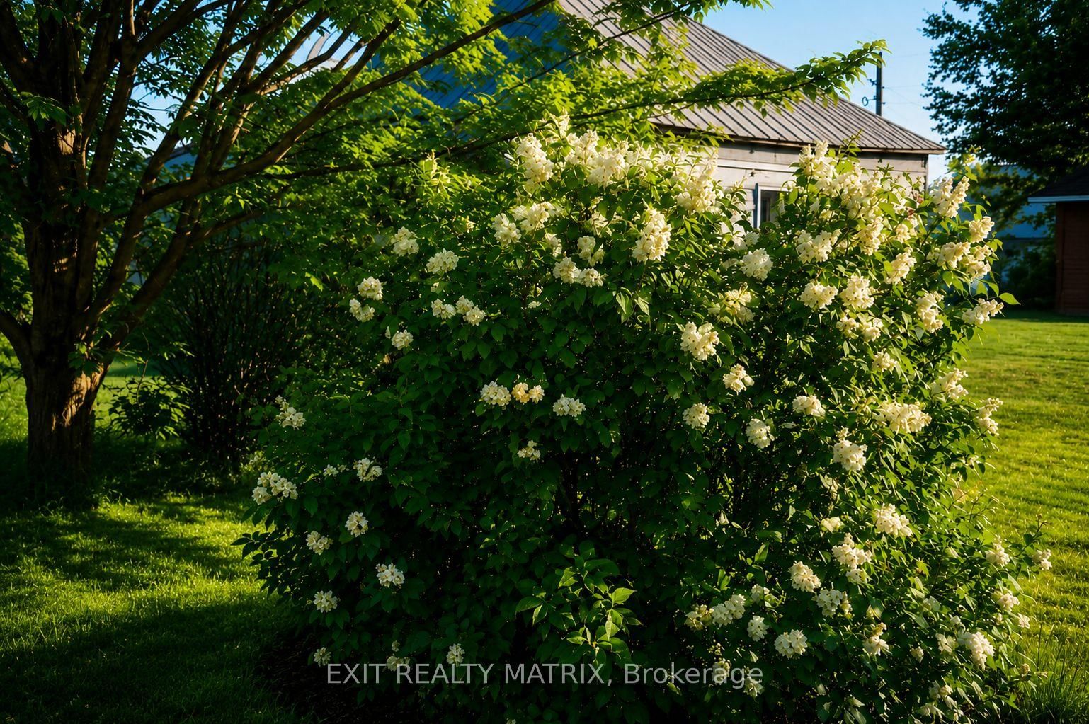 18203 Kenyon 19 Concession • North Glengarry, ON photo 40
