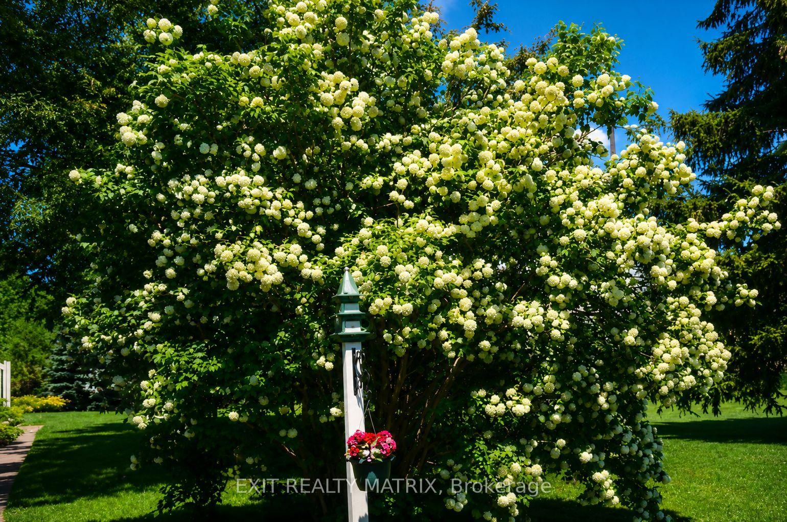 18203 Kenyon 19 Concession • North Glengarry, ON photo 41
