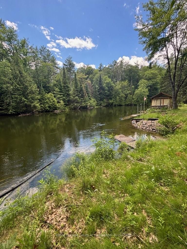 1019 Loyalist Drive • Minden Hills, ON photo 11
