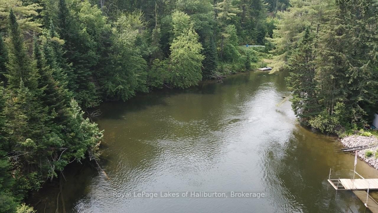 1019 Loyalist Drive • Minden Hills, ON photo 14