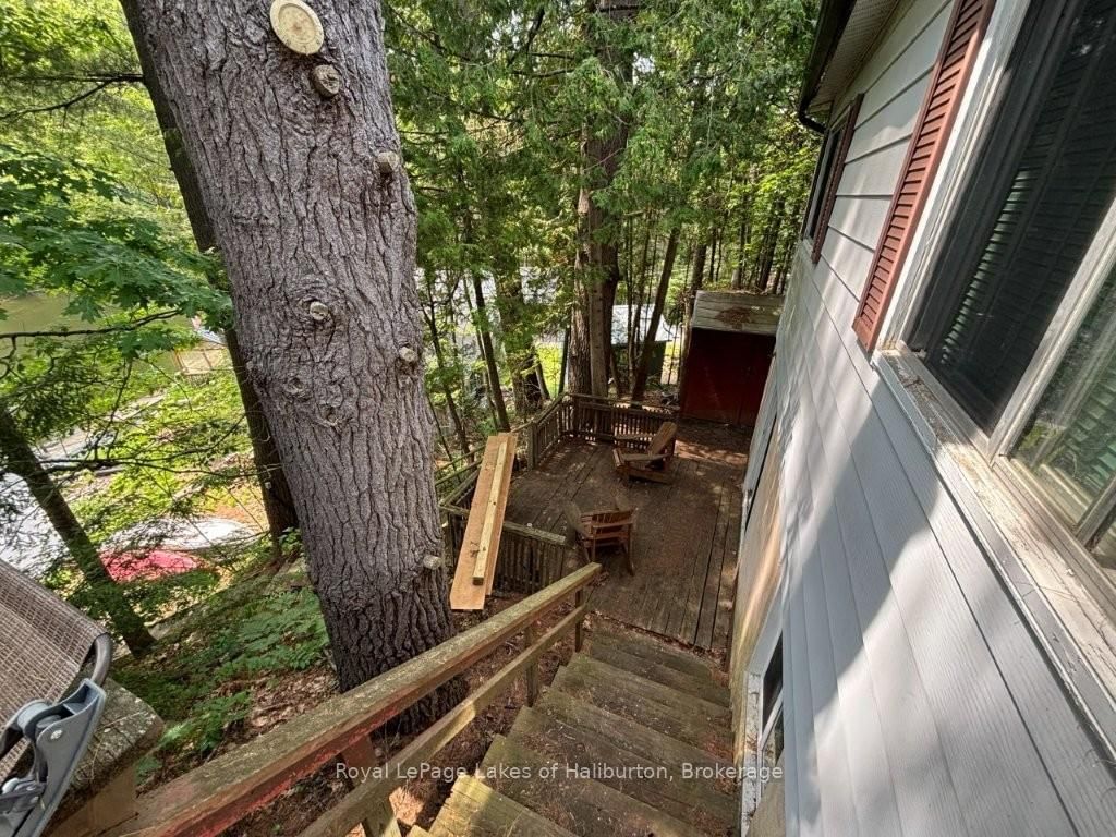1019 Loyalist Drive • Minden Hills, ON photo 21
