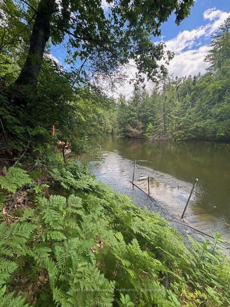 1019 Loyalist Drive • Minden Hills, ON photo 45
