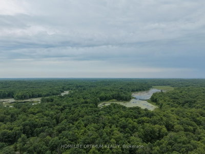 PT LT 20 CON 13 HINCHINBROOKE • Parham, ON photo 2