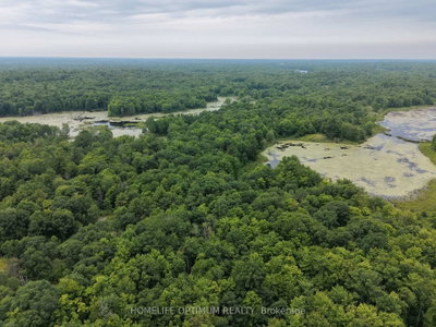 PT LT 20 CON 13 HINCHINBROOKE • Parham, ON photo 3