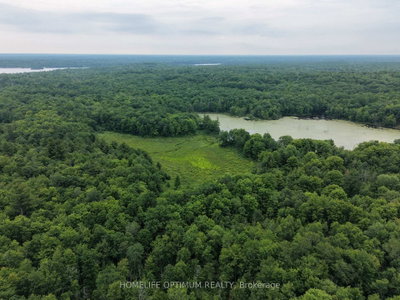 PT LT 20 CON 13 HINCHINBROOKE • Parham, ON photo 4