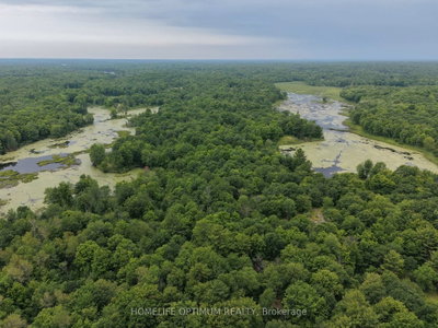 PT LT 20 CON 13 HINCHINBROOKE • Parham, ON photo 6