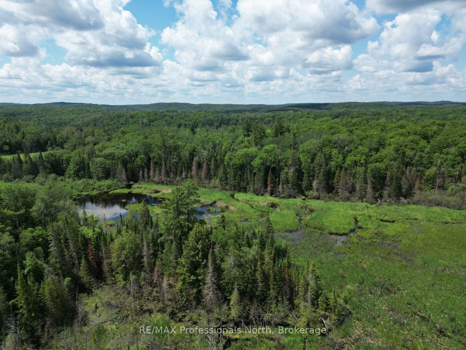 1419 Clement Lake Road • Highlands East, ON photo 3