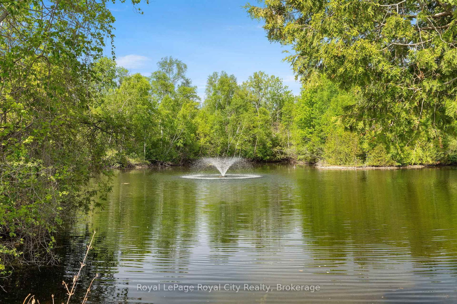 2 PAVILION Road • Puslinch, ON photo 42