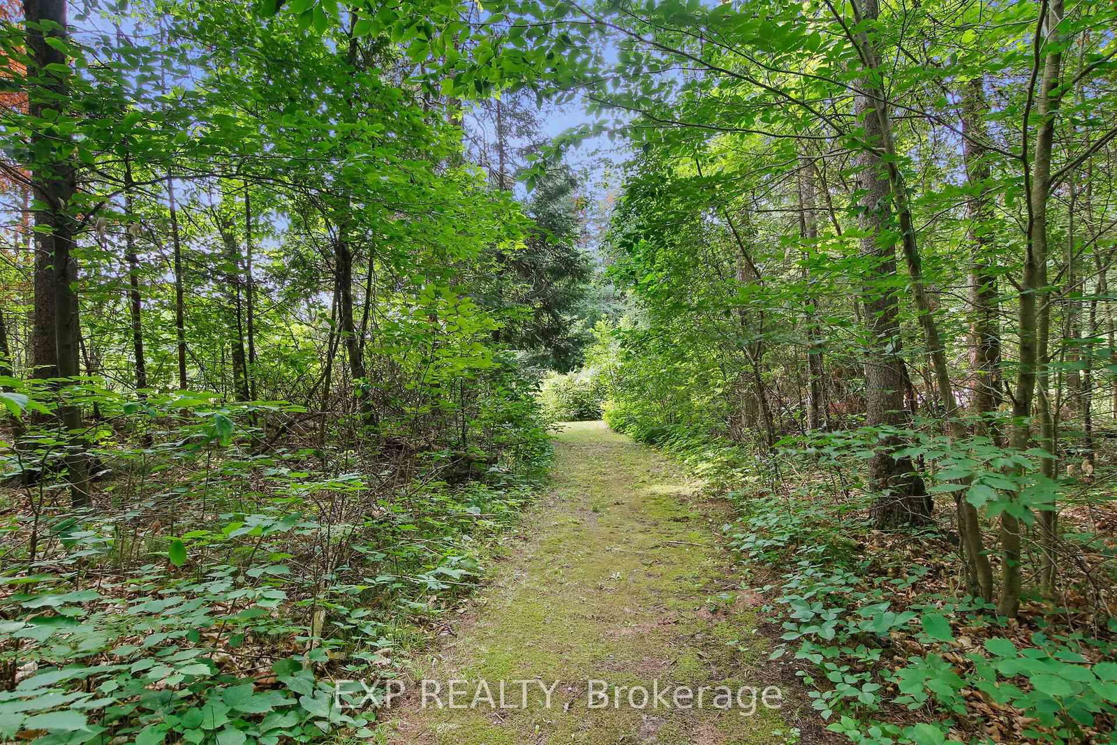 1798 Burnt Lands Road • Carp, ON photo 42