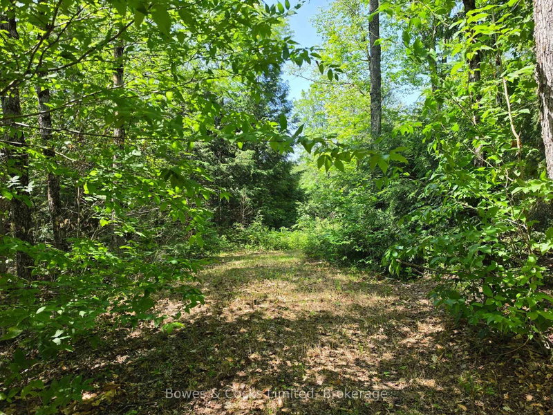home for sale on 1160 Balmer Road