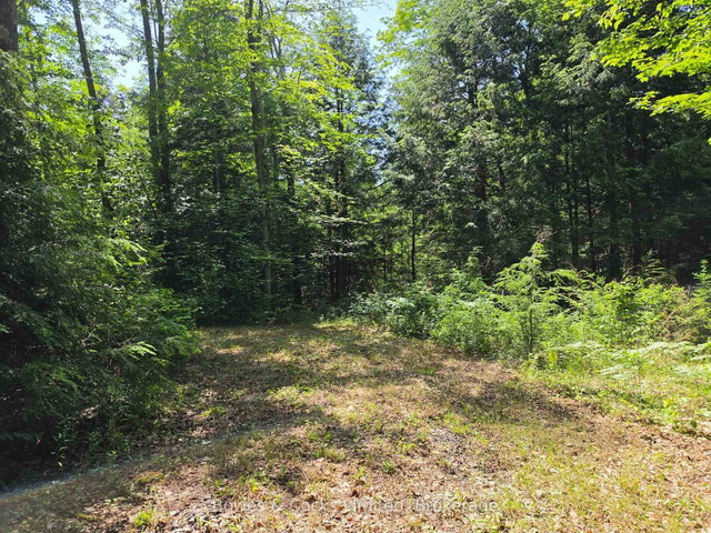 1160 Balmer Road