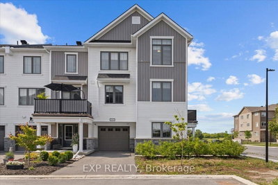 293 Anyolite Private