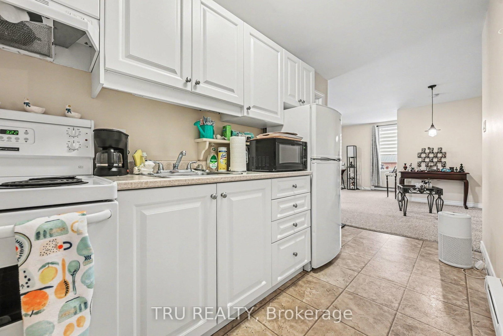 186 Water Street • Almonte, ON photo 12