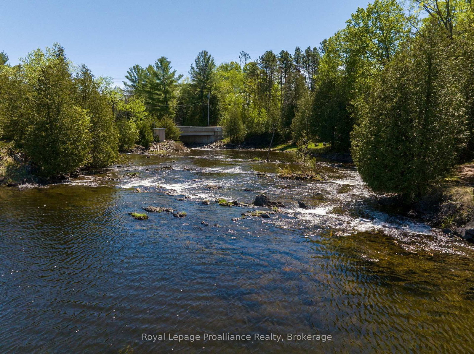 2471 Road 506 • Cloyne, ON photo 48