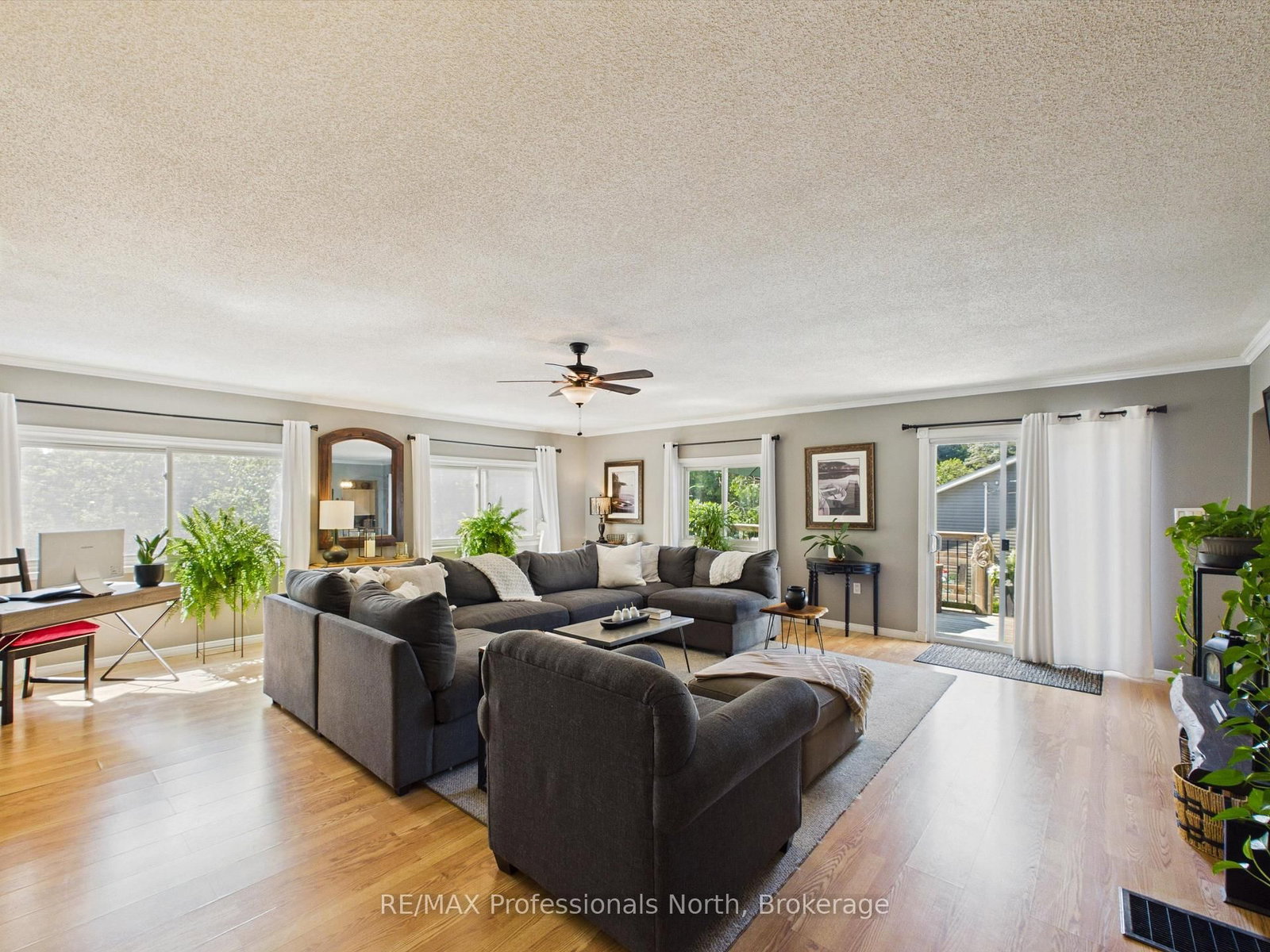 36 EDWARD Street • Bracebridge, ON photo 13