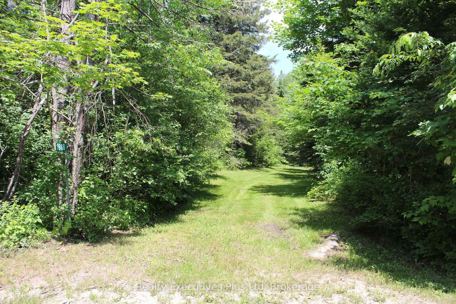 1988 Royston Road • Ryerson, ON photo 10