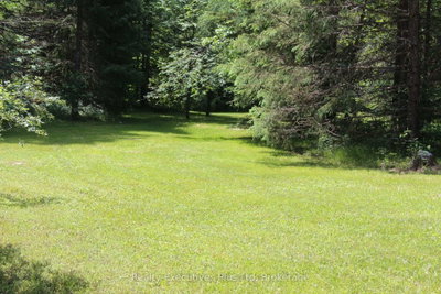 1988 Royston Road • Ryerson, ON photo 4