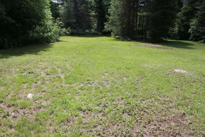 1988 Royston Road • Ryerson, ON photo 5