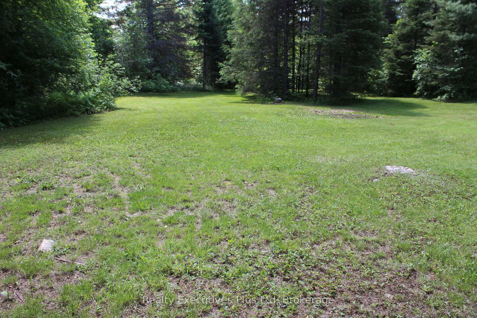 1988 Royston Road • Ryerson, ON photo 6