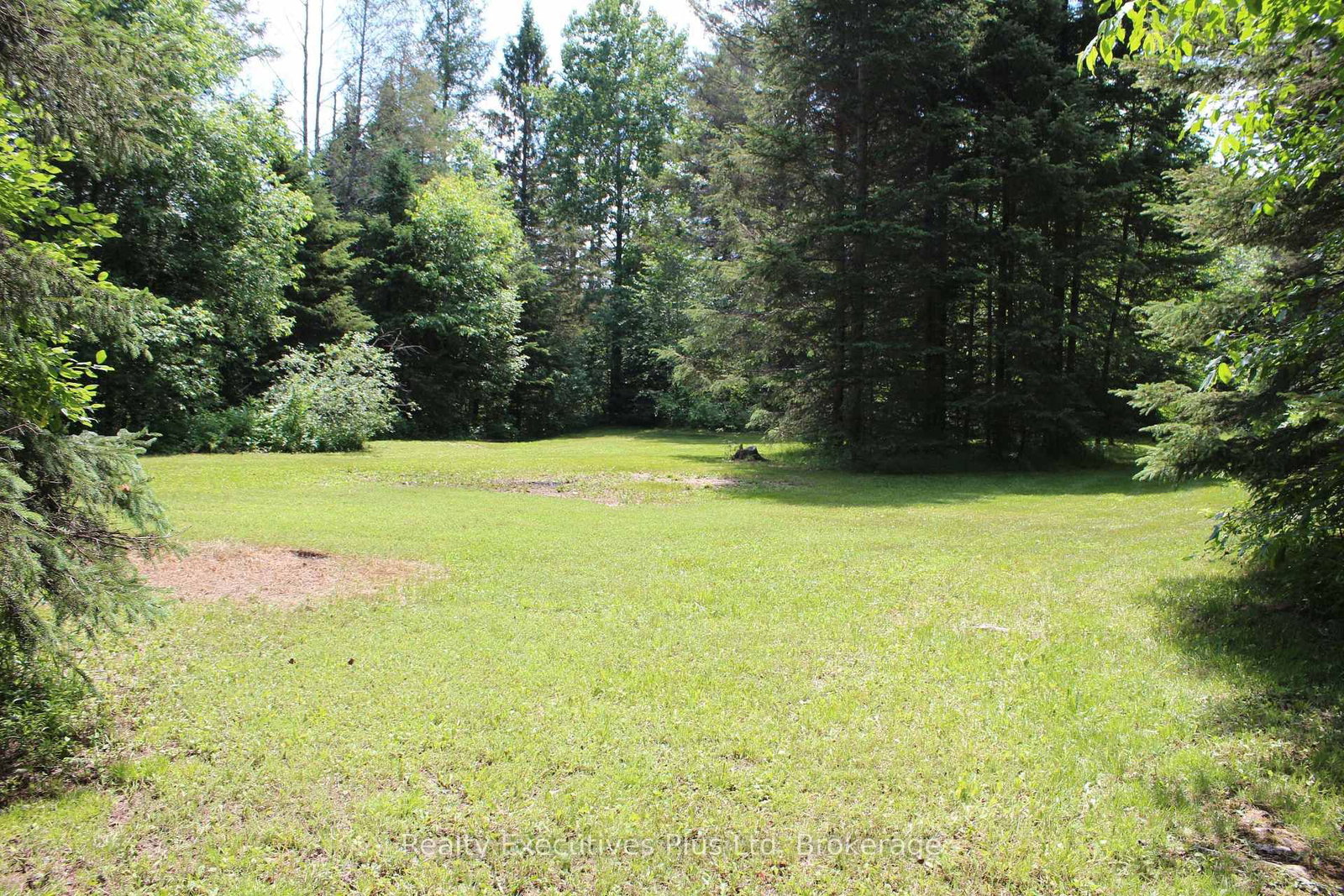 1988 Royston Road • Ryerson, ON photo 7