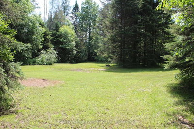 1988 Royston Road • Ryerson, ON photo 7