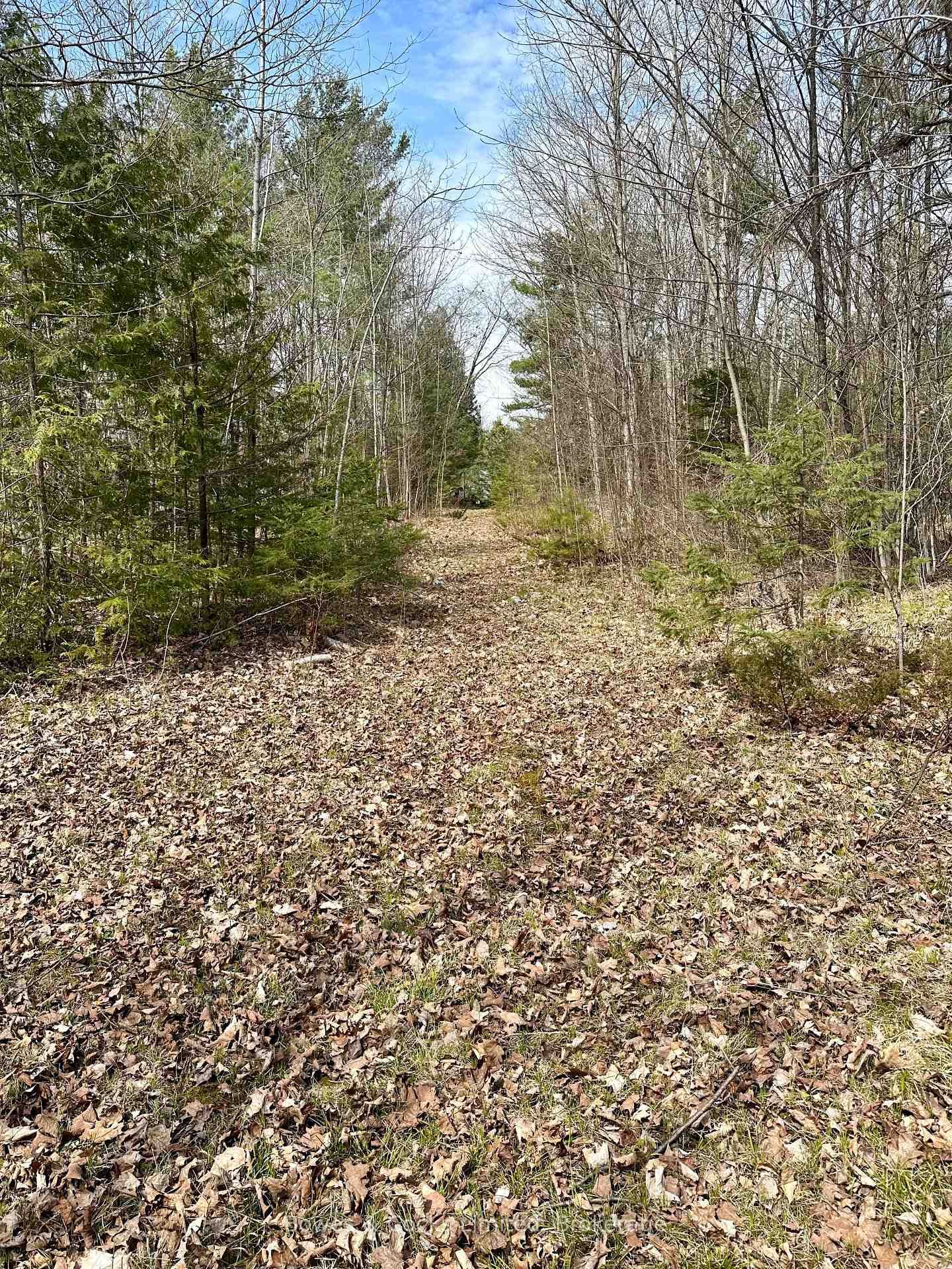 2981 County Road 44 • Havelock-Belmont-Methuen, ON photo 10