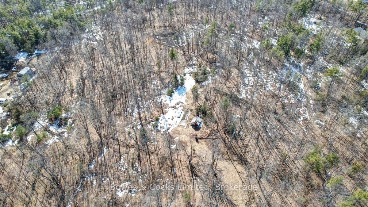 2981 County Road 44 • Havelock-Belmont-Methuen, ON photo 4