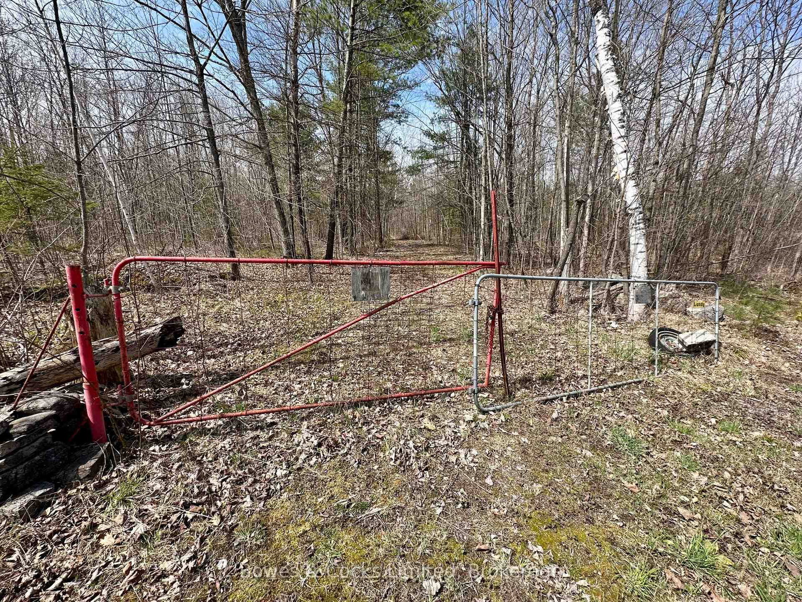 2981 County Road 44 • Havelock-Belmont-Methuen, ON photo 8