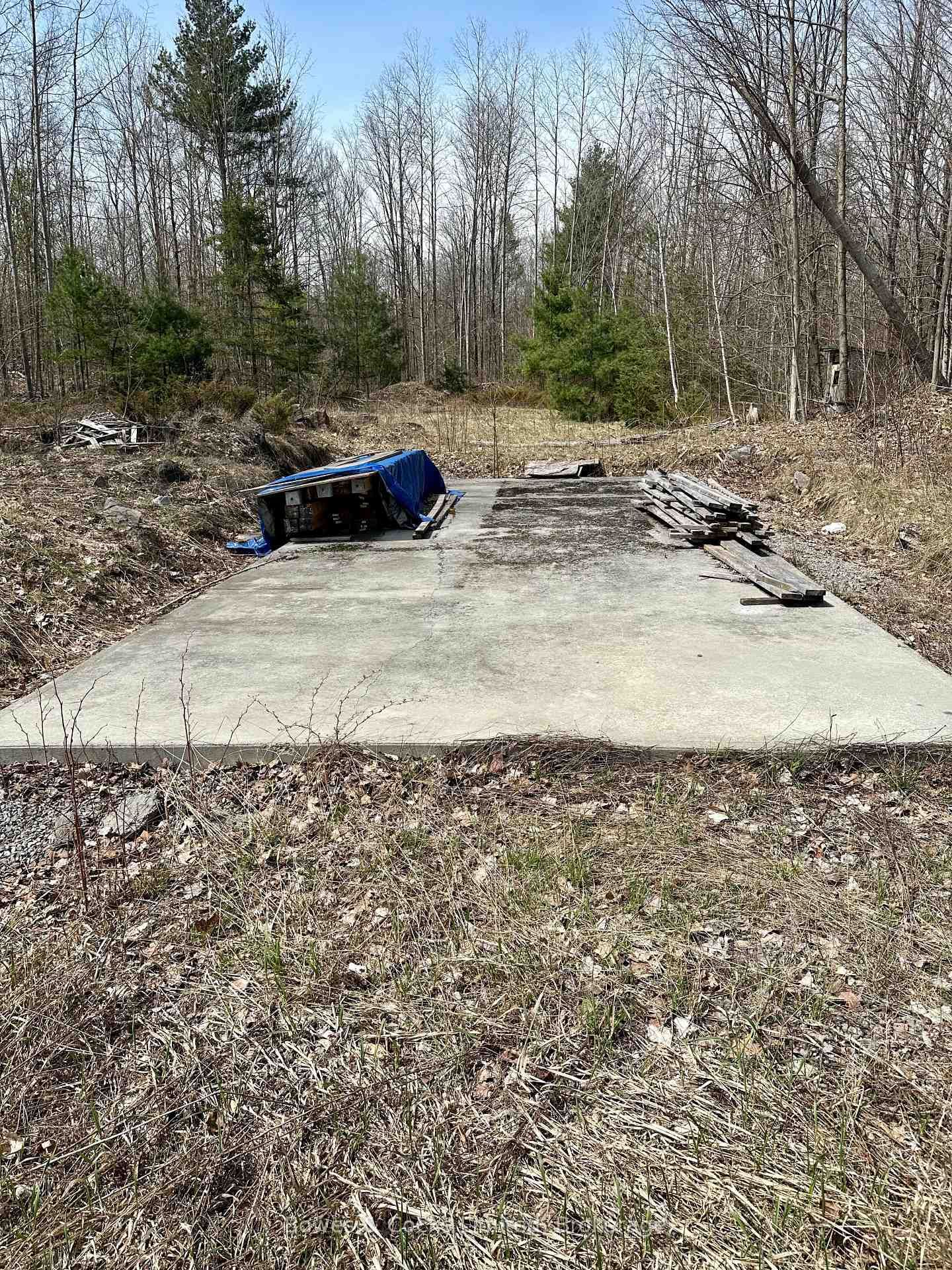 2981 County Road 44 • Havelock-Belmont-Methuen, ON photo 9