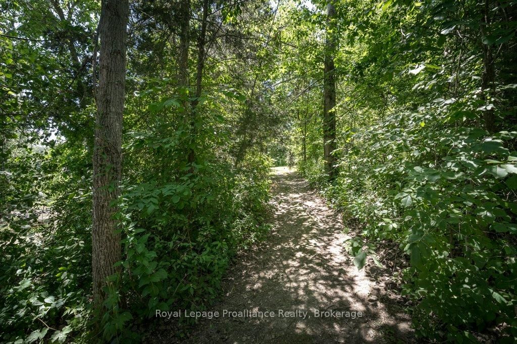 47 Windwhisper Drive • Belleville, ON photo 50