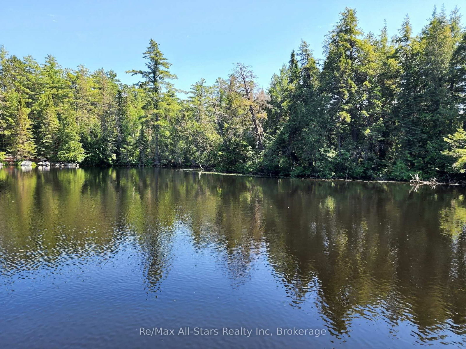 Lot 31 Rock Lake Road • Algonquin Highlands, ON photo 3