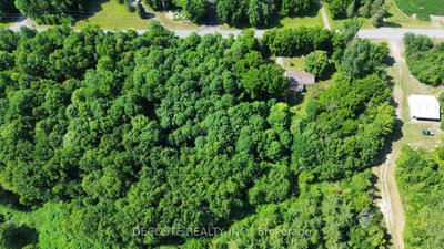 n/a Maple Road — photo 4