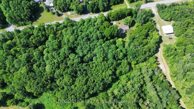 n/a Maple Road — photo 5