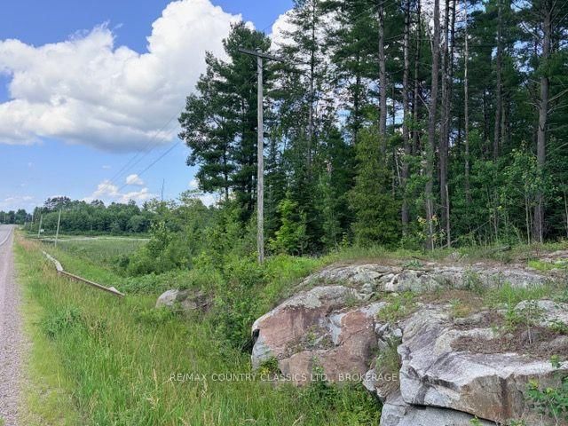 00 41 Highway • Addington Highlands, ON photo 1