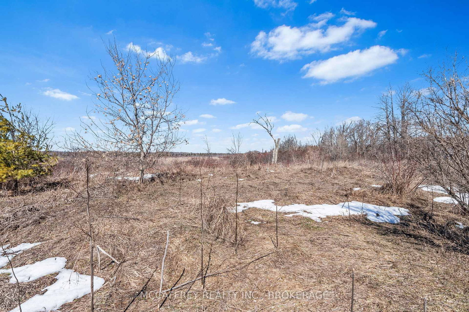 0 Cooks Road • Greater Napanee, ON photo 22
