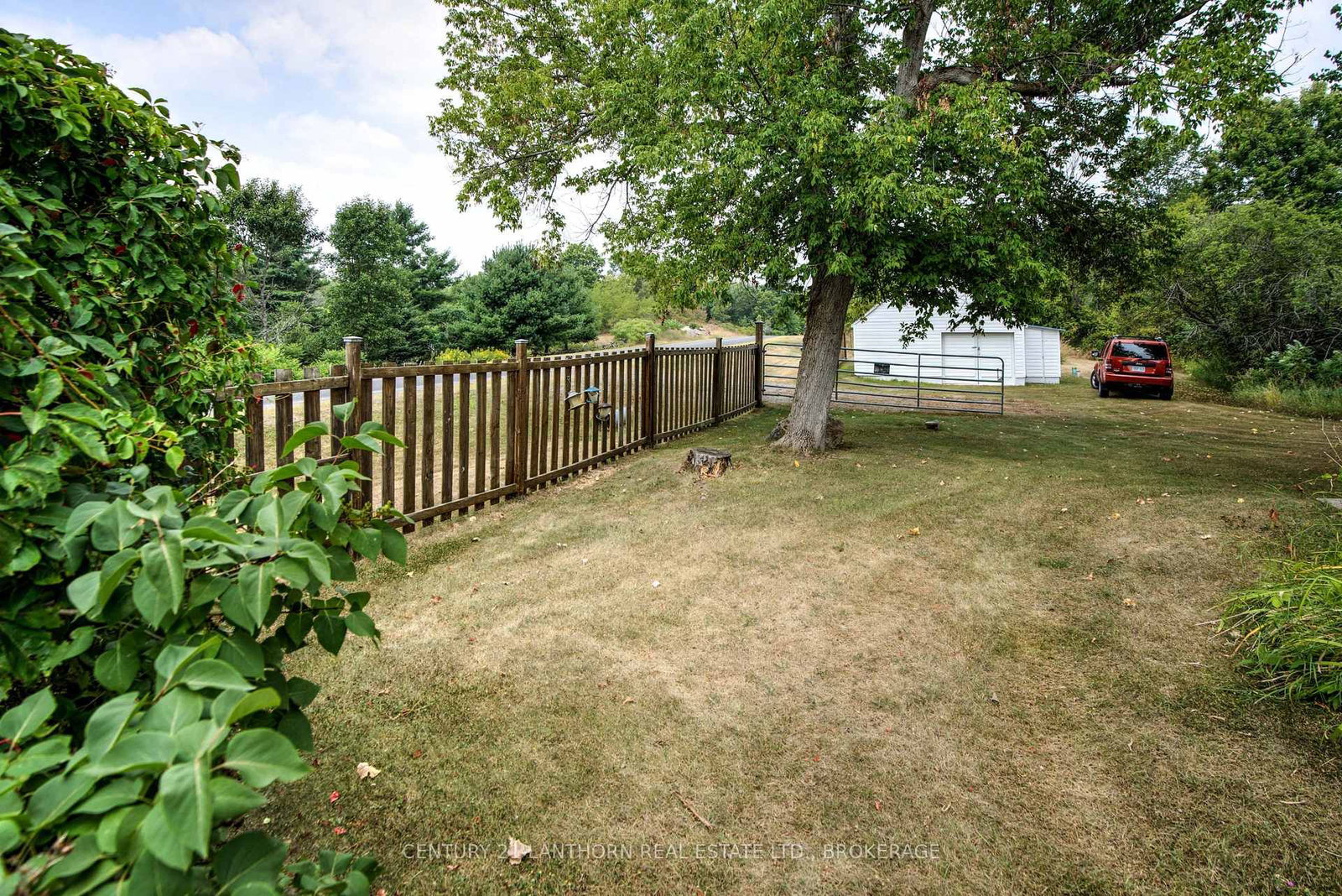 Listing Image 20