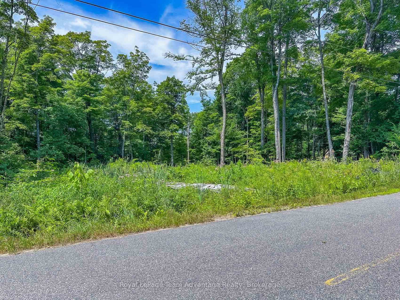 17 Cornflower Road • McDougall, ON photo 13