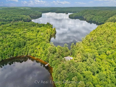 11165 Kushog-North • Algonquin Highlands, ON photo 4